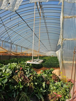 강선미님의 기타작물 · 영농일지 작성글 사진