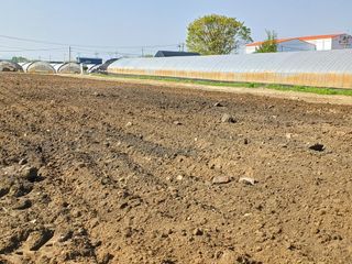 벼7893님의 벼 · 영농일지 작성글 사진