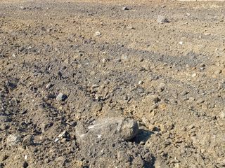 벼7893님의 벼 · 영농일지 작성글 사진