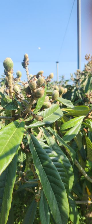 김상철님의 기타작물 · 영농일지 작성글 사진