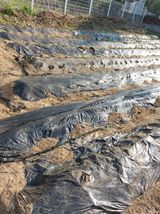 팜모닝 기타작물·영농일지 게시글 이미지