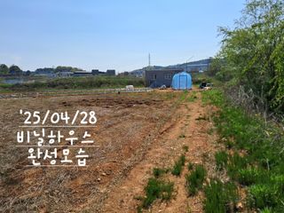 kh글로벌님의 기타작물 · 영농일지 작성글 사진