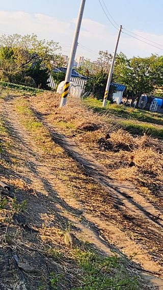 정헌경님의 기타작물 · 영농일지 작성글 사진