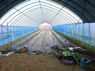 비타민님의 기타작물 · 영농일지 작성글 사진