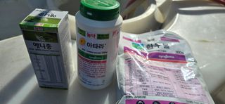 김용희님의 자두 · 영농일지 작성글 사진