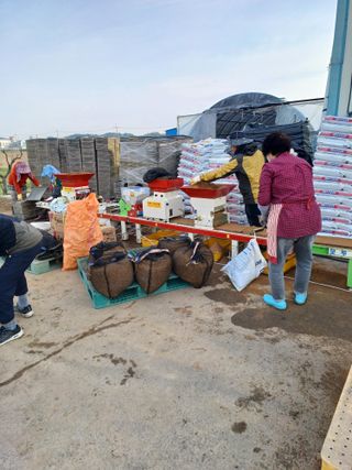 비호짱님의 기타작물 · 영농일지 작성글 사진