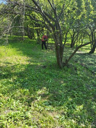 반봉현님의 매실 · 영농일지 작성글 사진