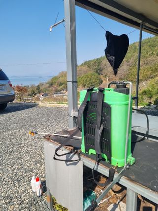 해풍맞은 맛있는 감님의 감 · 영농일지 작성글 사진