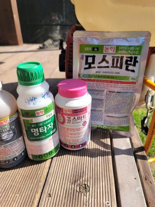 단풍농장님의 매실 · 영농일지 작성글 사진