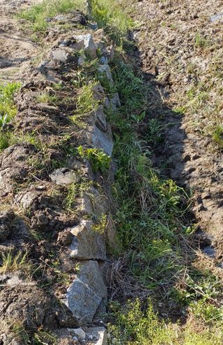박병규님의 기타작물 · 영농일지 작성글 사진