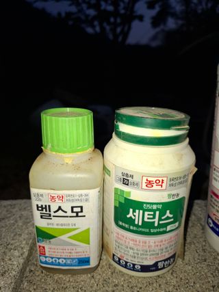 주재필님의 사과 · 영농일지 작성글 사진
