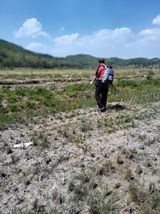 팜모닝 기타작물·영농일지 게시글 이미지