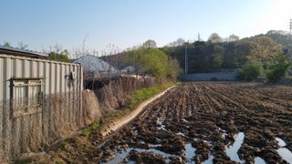 김지철님의 기타작물 · 영농일지 작성글 사진