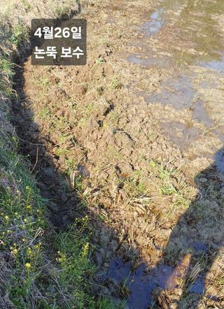 박병규님의 기타작물 · 영농일지 작성글 사진