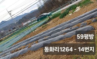 박병규님의 들깨 · 영농일지 작성글 사진