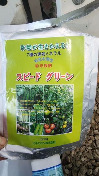 준우아빠님의 오이 · 영농일지 작성글 사진