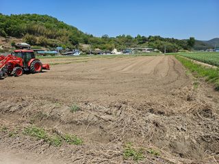 태이린팜님의 옥수수 · 영농일지 작성글 사진
