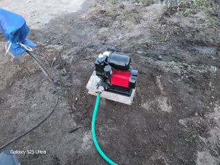 나선기님의 기타작물 · 영농일지 작성글 사진