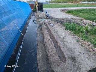 나선기님의 기타작물 · 영농일지 작성글 사진