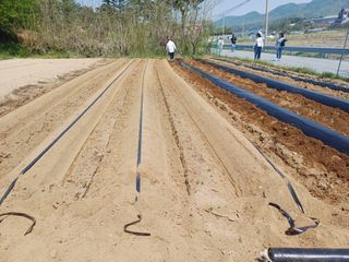 인산님의 기타작물 · 영농일지 작성글 사진