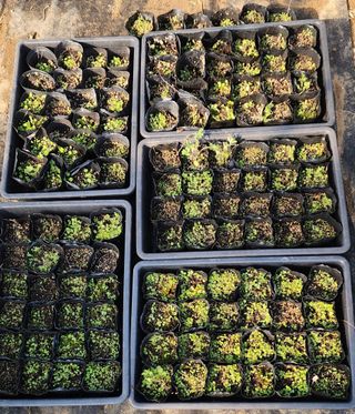 김제일님의 기타작물 · 영농일지 작성글 사진