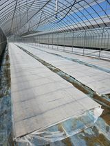 팜모닝 벼·영농일지 게시글 이미지