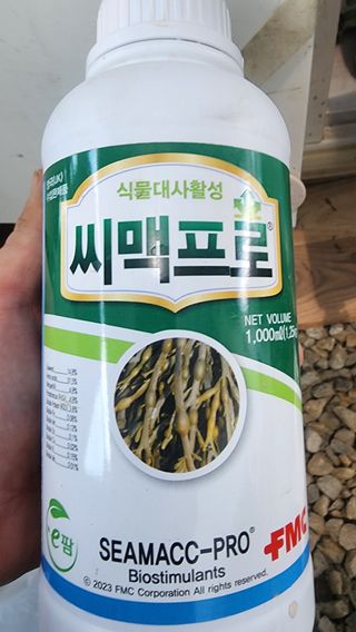 준우아빠님의 오이 · 영농일지 작성글 사진