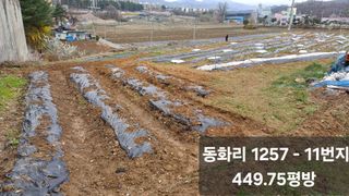 박병규님의 들깨 · 영농일지 작성글 사진