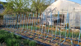 김지철님의 기타작물 · 영농일지 작성글 사진