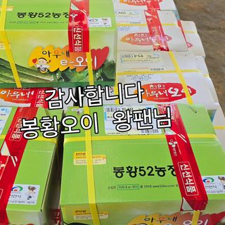 조영숙님의 오이 · 영농일지 작성글 사진