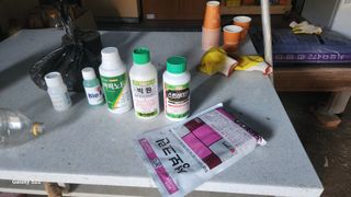 김준한님의 기타작물 · 영농일지 작성글 사진