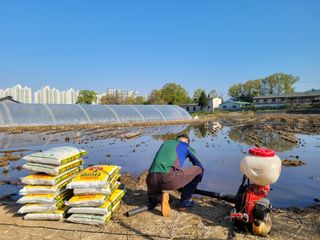 정지덕님의 벼 · 영농일지 작성글 사진