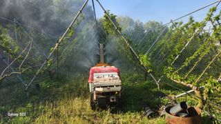 김준한님의 기타작물 · 영농일지 작성글 사진
