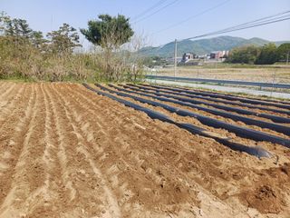 인산님의 기타작물 · 영농일지 작성글 사진