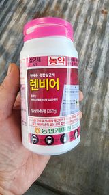 팜모닝 오이·영농일지 게시글 이미지