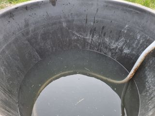 새의눈님의 기타작물 · 영농일지 작성글 사진