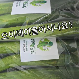 조영숙님의 오이 · 영농일지 작성글 사진