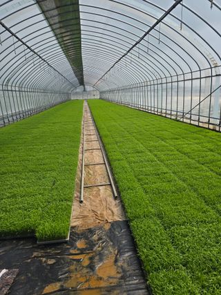 리짱님의 벼 · 영농일지 작성글 사진