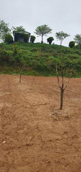 팜모닝 감·영농일지 게시글 이미지