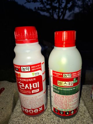 주재필님의 들깨 · 영농일지 작성글 사진