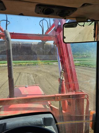 태이린팜님의 옥수수 · 영농일지 작성글 사진