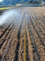 팜모닝 고추·영농일지 게시글 이미지