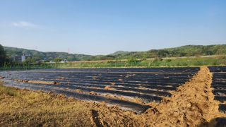 HYUN님의 참깨 · 영농일지 작성글 사진