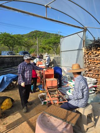 김대기님의 기타작물 · 영농일지 작성글 사진