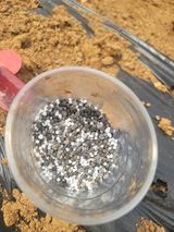 팜모닝 감자·영농일지 게시글 이미지