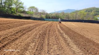 최영숙님의 고추 · 영농일지 작성글 사진