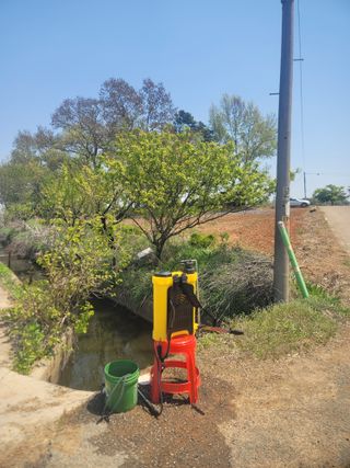 로만아빠님의 감자 · 영농일지 작성글 사진