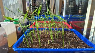 하재은님의 기타작물 · 영농일지 작성글 사진