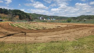 HYUN님의 참깨 · 영농일지 작성글 사진