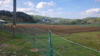 HYUN님의 참깨 · 영농일지 작성글 사진